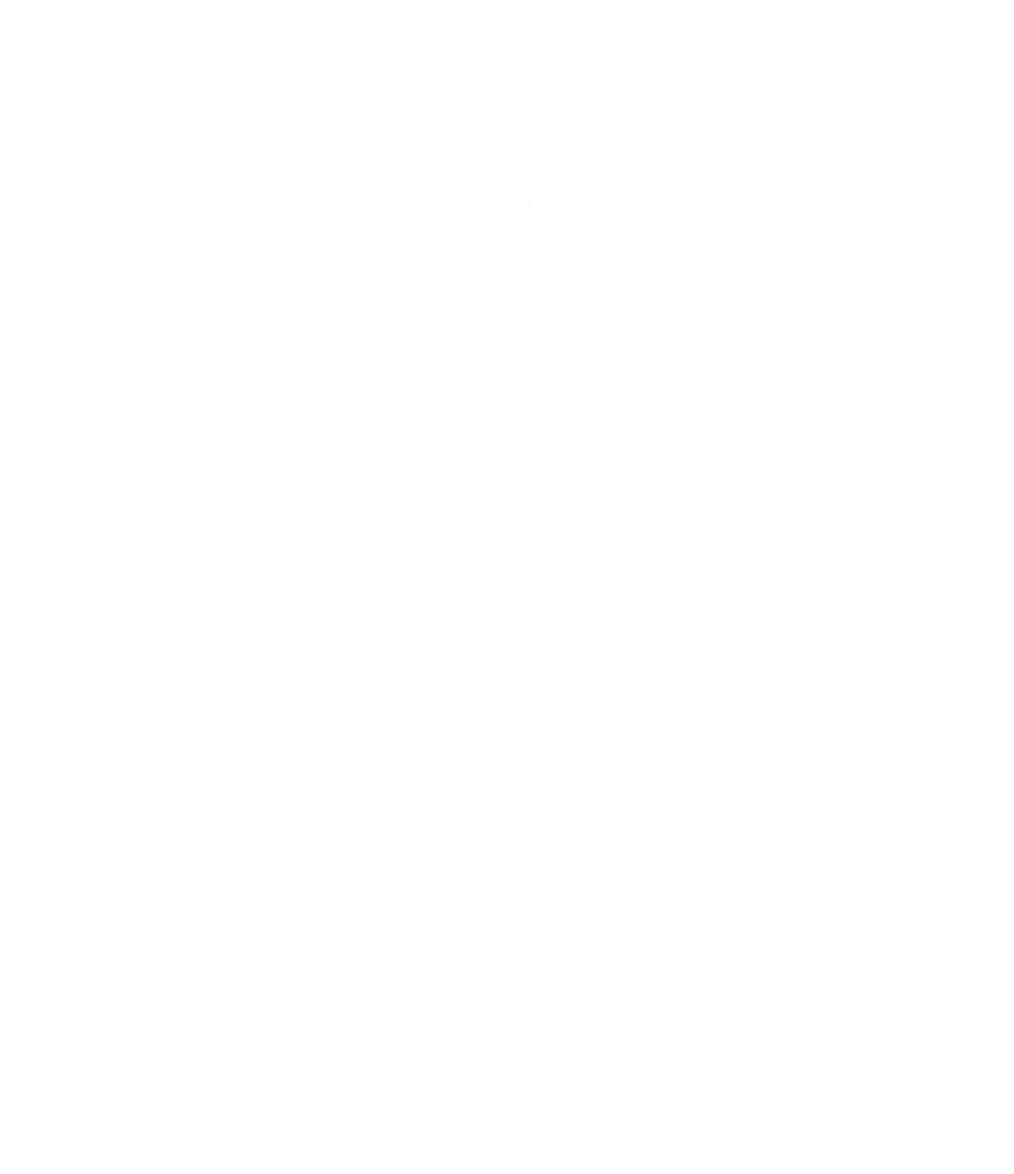 Hanneke Hendriks